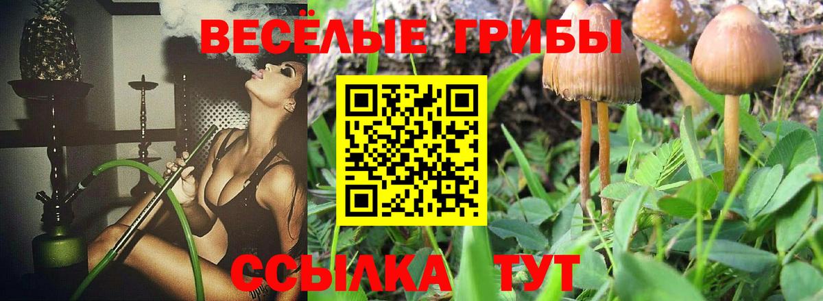 Псилоцибиновые грибы прущие грибы  Псилоцибиновые грибы Psilocybe  Вход с VPN  Барабинск 