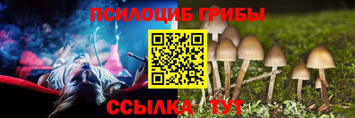 Галлюциногенные грибы GOLDEN TEACHER Барабинск